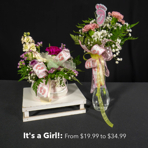 It's a Girl! Flower Arrangements priced from $19.99 to $34.99